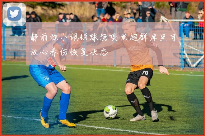 静雨称小佩顿球场嗅觉超群库里可放心养伤恢复状态