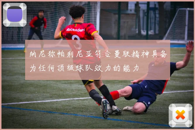 纳尼称帕利尼亚符合曼联精神具备为任何顶级球队效力的能力