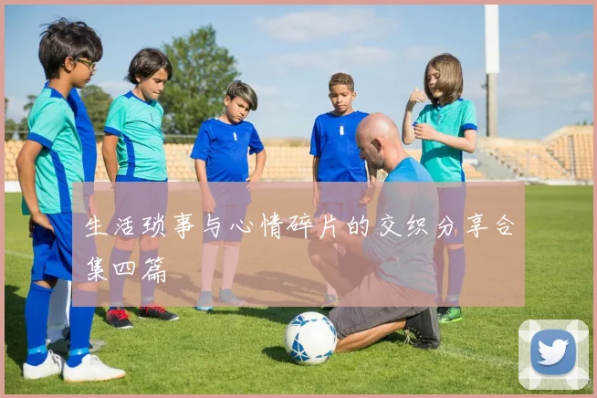 生活琐事与心情碎片的交织分享合集四篇