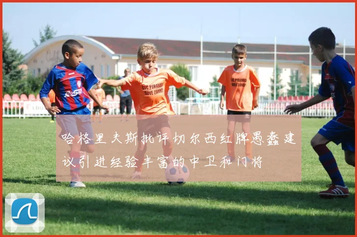 哈格里夫斯批评切尔西红牌愚蠢建议引进经验丰富的中卫和门将