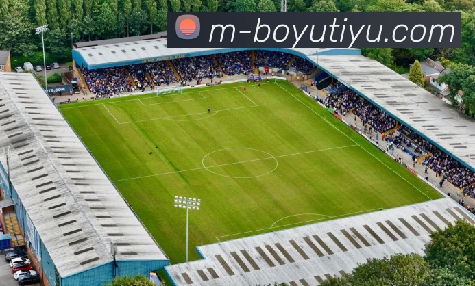 博鱼体育APP 封面图